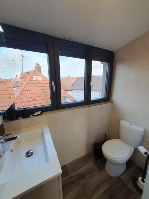 Appartement 2 Pieces Tout Confort, Aux Portes De Colmar Andolsheim Luaran gambar