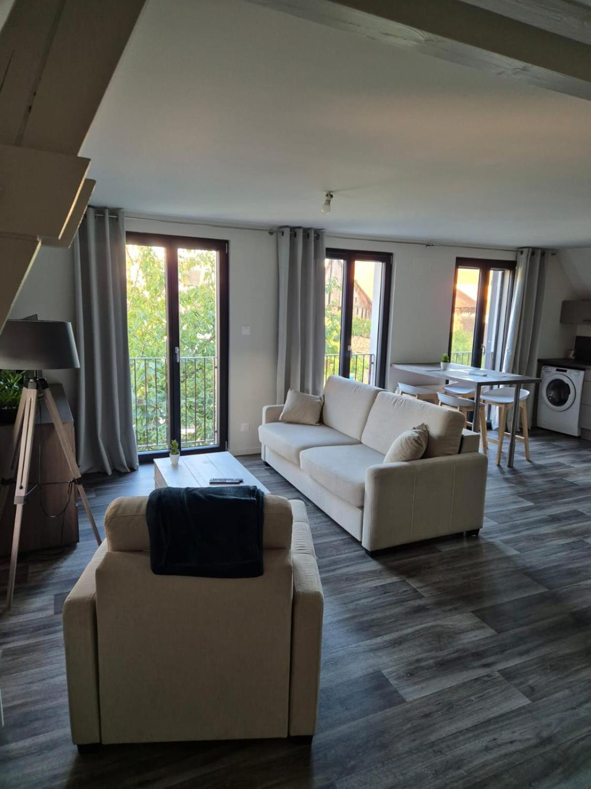Appartement 2 Pieces Tout Confort, Aux Portes De Colmar Andolsheim Luaran gambar
